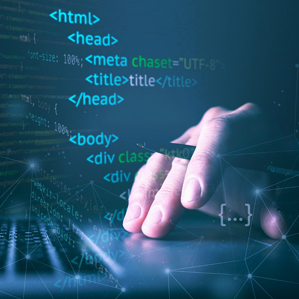 Website Services 2 Professional Website, one of our a website services at Locreative Media LTD, a web design agency in Lagos, Nigeria